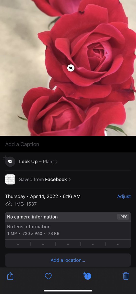 AnitaSamore tweet media