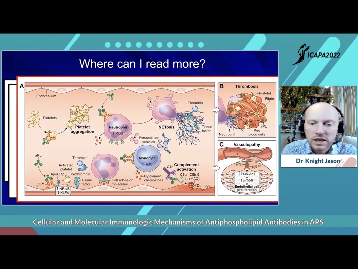 ori_114's tweet image. exciting🙌‼︎

#ICAPA2022 
#APSmatters 
@jasonsknight 
@lauraandreoli80 
@APLAR_org 

…🇯🇵time difference 12hrs🌞🌎🌛