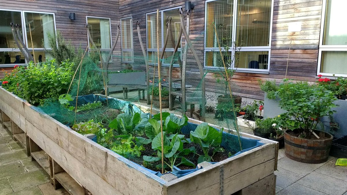 Jo Vacancy! <a href="/GPFoodCoop/">Lambeth GP Food Coop</a> is looking for an engaging gardener to lead one of their gardening groups at Gracefield Gardens GP Surgery.

The successful applicant will also help to make the garden a pleasant space for staff &amp; patients to enjoy. 

Apply to gpfoodcoop@gmail.com