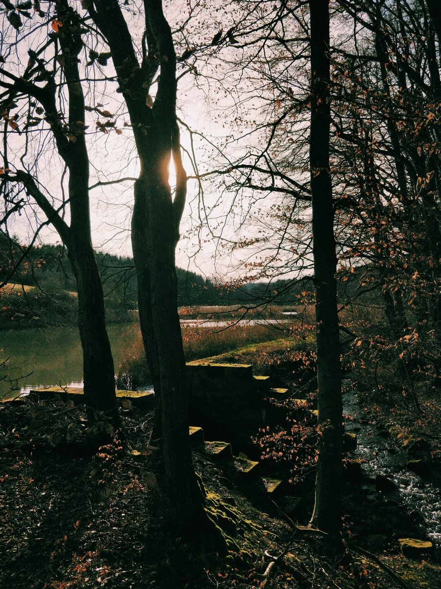 _drivingrain's tweet photo. #shotononeplus #bayern #oberfranken #vsco https://t.co/oy3JZJLvMV