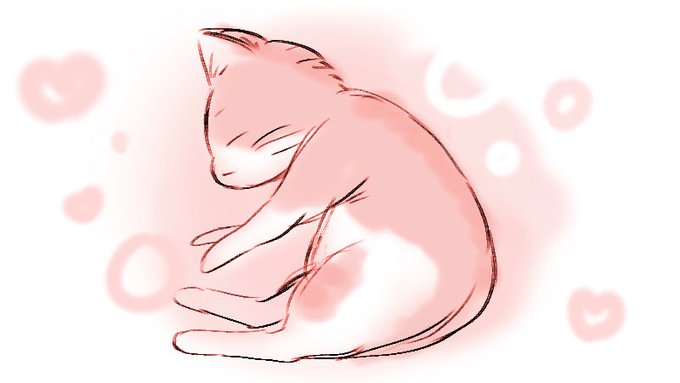 かえってきたよー🐱🚗
けんさけっかはまだ1しゅうかんくらいかかるみたいだよー 今はますいでふらふらだけど おうちかえってきてうれしーってうごきもあって うれしいよ ただいま おつかれさまー 気(けぇ)をわけてくれてありがとー がんばったーがんばったねーえらい 