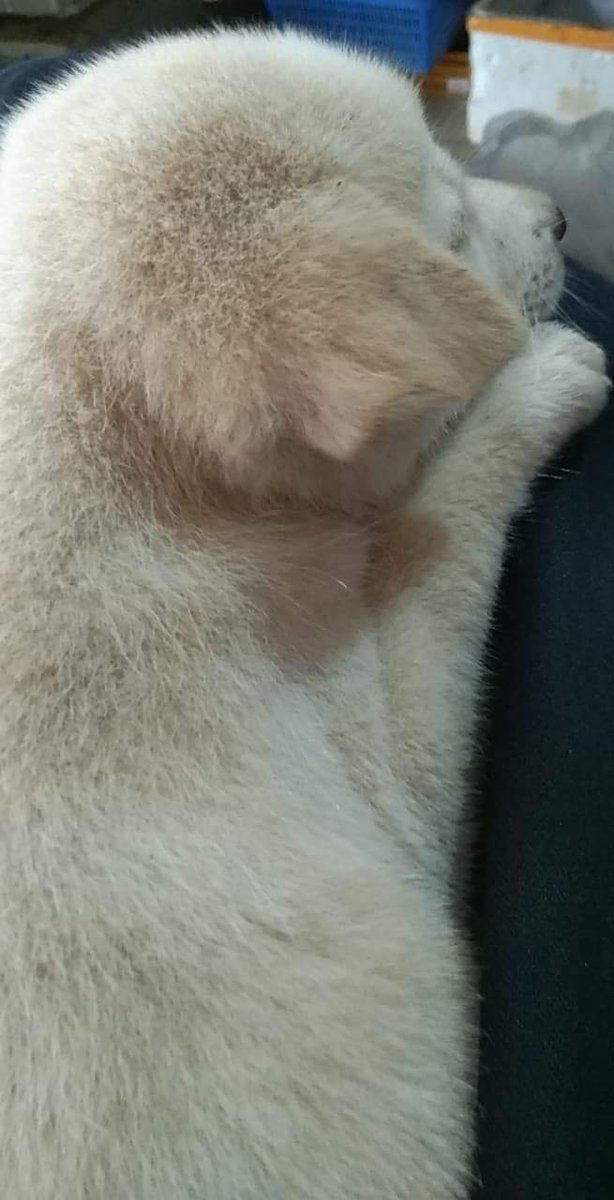 godyeam's tweet photo. น่ารักกก https://t.co/CdzePS5mSb