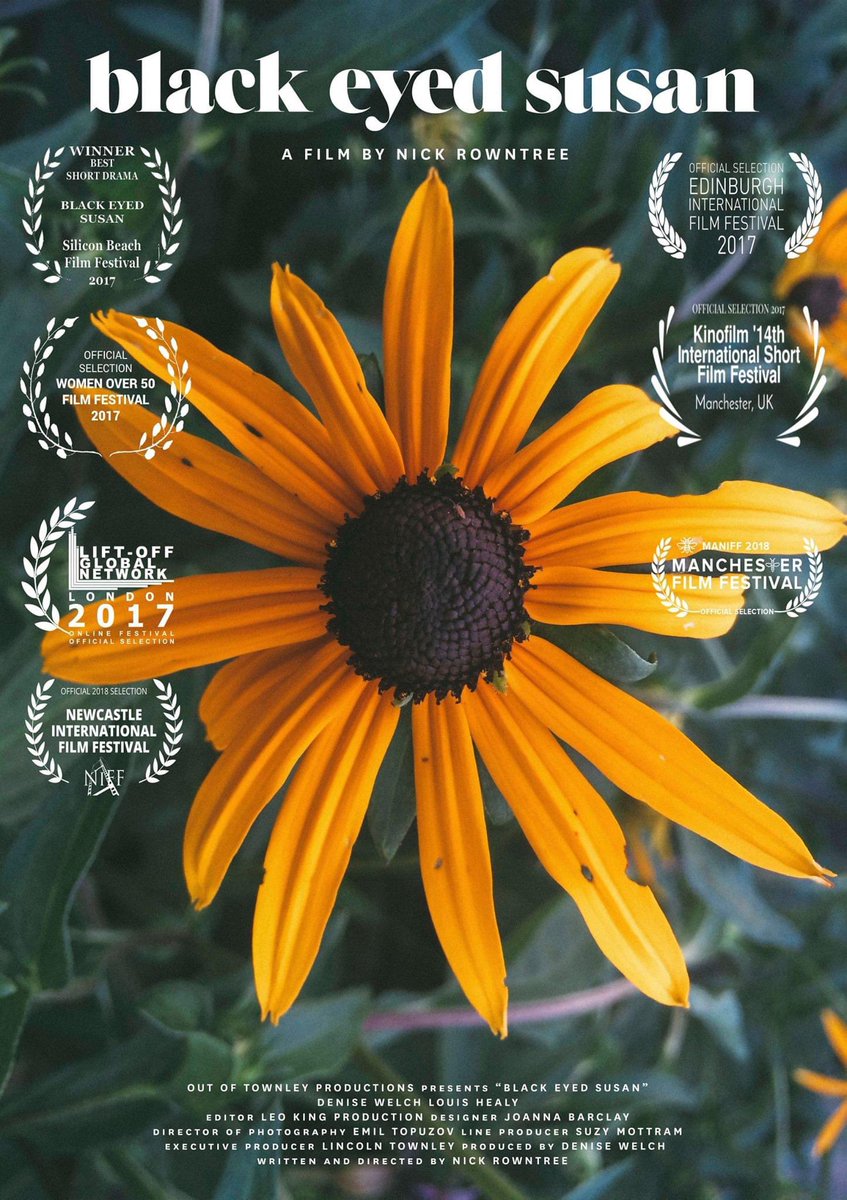 blackeyedsusan tweet media