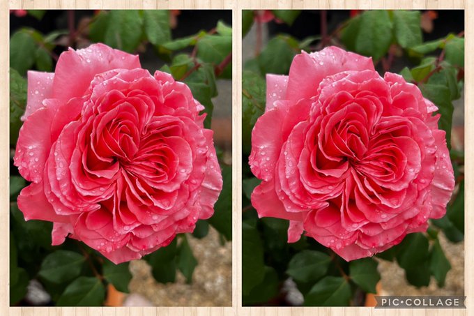 Popular Tweets Of 藤田重信 7 Whotwi Graphical Twitter Analysis