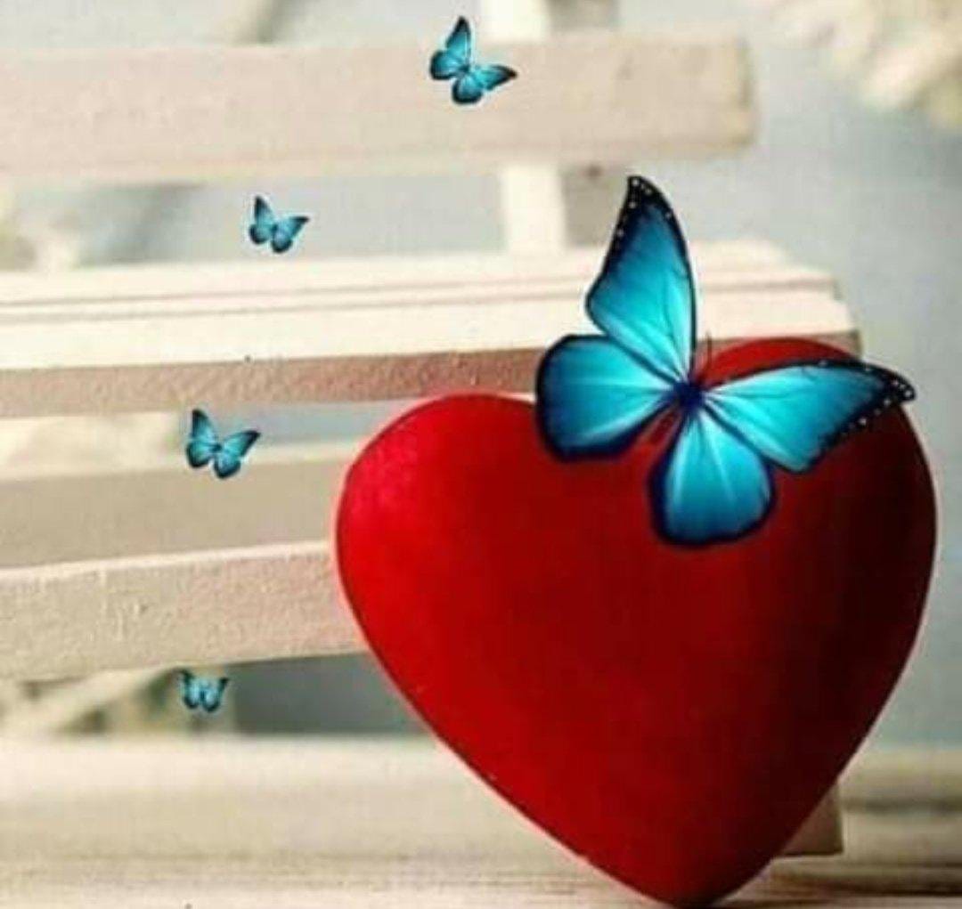 ArqJnah's tweet photo. #بوح.👈🦋
سأظلُ ممتنًة لقلبٍ ، وقعتُ به عمدًا وطاب لي المقام . https://t.co/cnLaox105Z