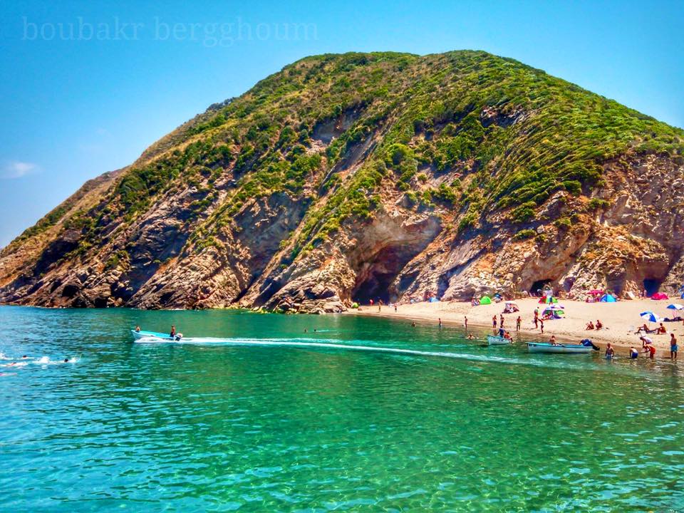 Africa Facts Zone tweet media