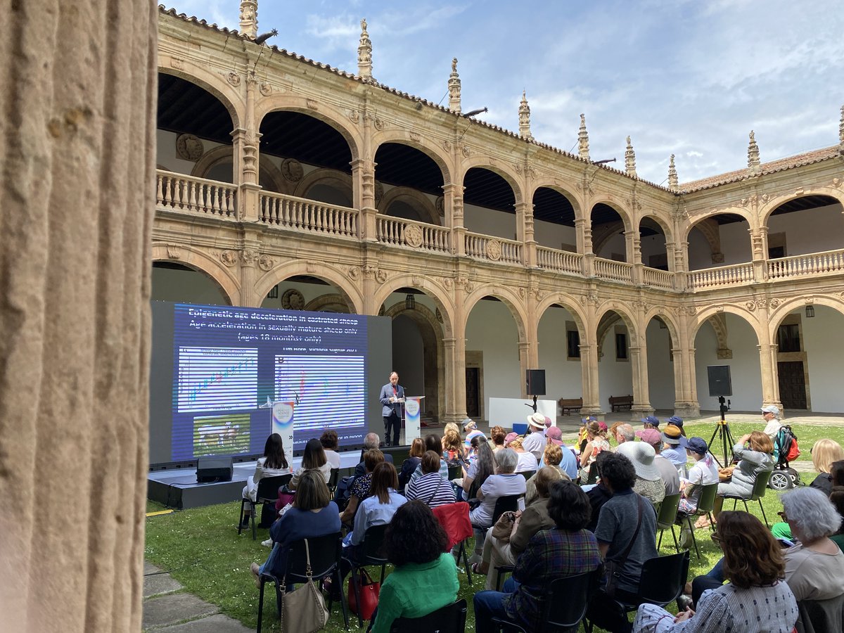 cenie_es's tweet photo. 💬 #SteveHorvath de @UCLA en su intervención en #AgeOpenScience sobre los estudios de metilación del ADN del envejecimiento en diferentes mamíferos

📺🔴 https://t.co/TRacz6uDRq https://t.co/D9zQ4ukodV