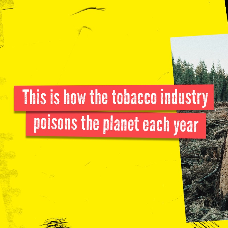 WHO's tweet photo. #TobaccoExposed: How can an industry that creates nearly 800,000 tonnes of 💀 toxic waste per year from cigarette butts alone be a leader in environmental sustainability?
 
There is #OnlyOneEarth 🌎🌍🌏 - let's protect it by saying #NoTobacco 🚭