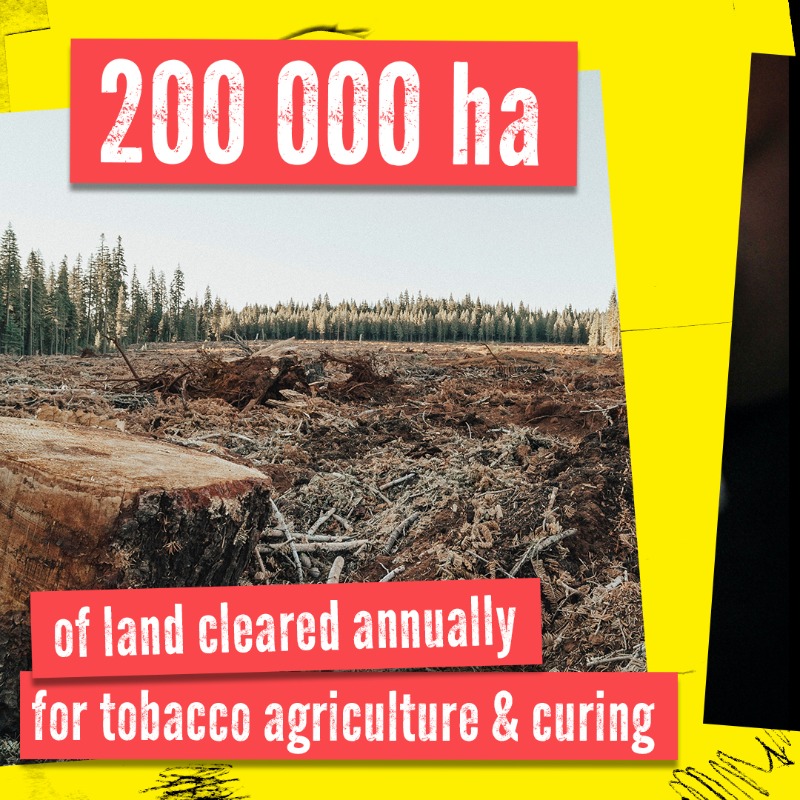 WHO's tweet photo. #TobaccoExposed: How can an industry that creates nearly 800,000 tonnes of 💀 toxic waste per year from cigarette butts alone be a leader in environmental sustainability?
 
There is #OnlyOneEarth 🌎🌍🌏 - let's protect it by saying #NoTobacco 🚭