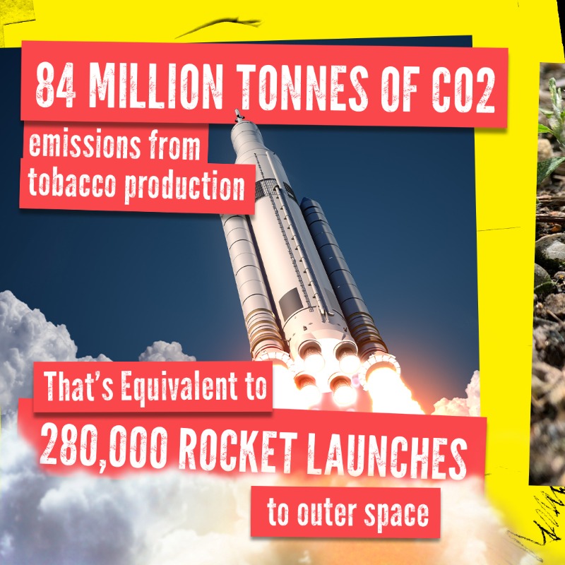 WHO's tweet photo. #TobaccoExposed: How can an industry that creates nearly 800,000 tonnes of 💀 toxic waste per year from cigarette butts alone be a leader in environmental sustainability?
 
There is #OnlyOneEarth 🌎🌍🌏 - let's protect it by saying #NoTobacco 🚭
