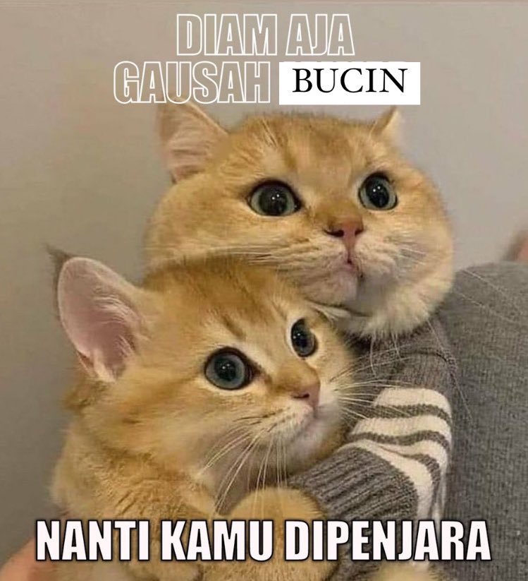 bitmberrr's tweet photo. orang jomblo enak ga dipenjara #TerlaluBucin https://t.co/Gis89zb0Ip
