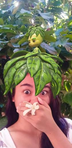 QueenAmalda (777) || Llamascape tweet media