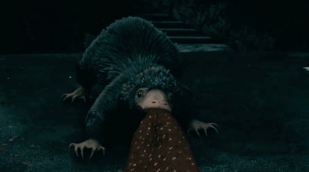 FB_Niffler's tweet photo. https://t.co/5LycHWOAYQ