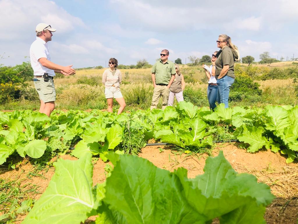 BenicaTheFarmer's tweet photo. Matume Fresh Produce and Timbavati Foundation management visit BenicaFarm.

Better things are coming!!
Growth evolution 🎊

My farming journey is taking another direction. May his will be done not a will any man 🙏

#Farming #Agriculture#ZeroHunger#Jobcreation 

Let's farm 🌱 https://t.co/N4YIrNO2v5