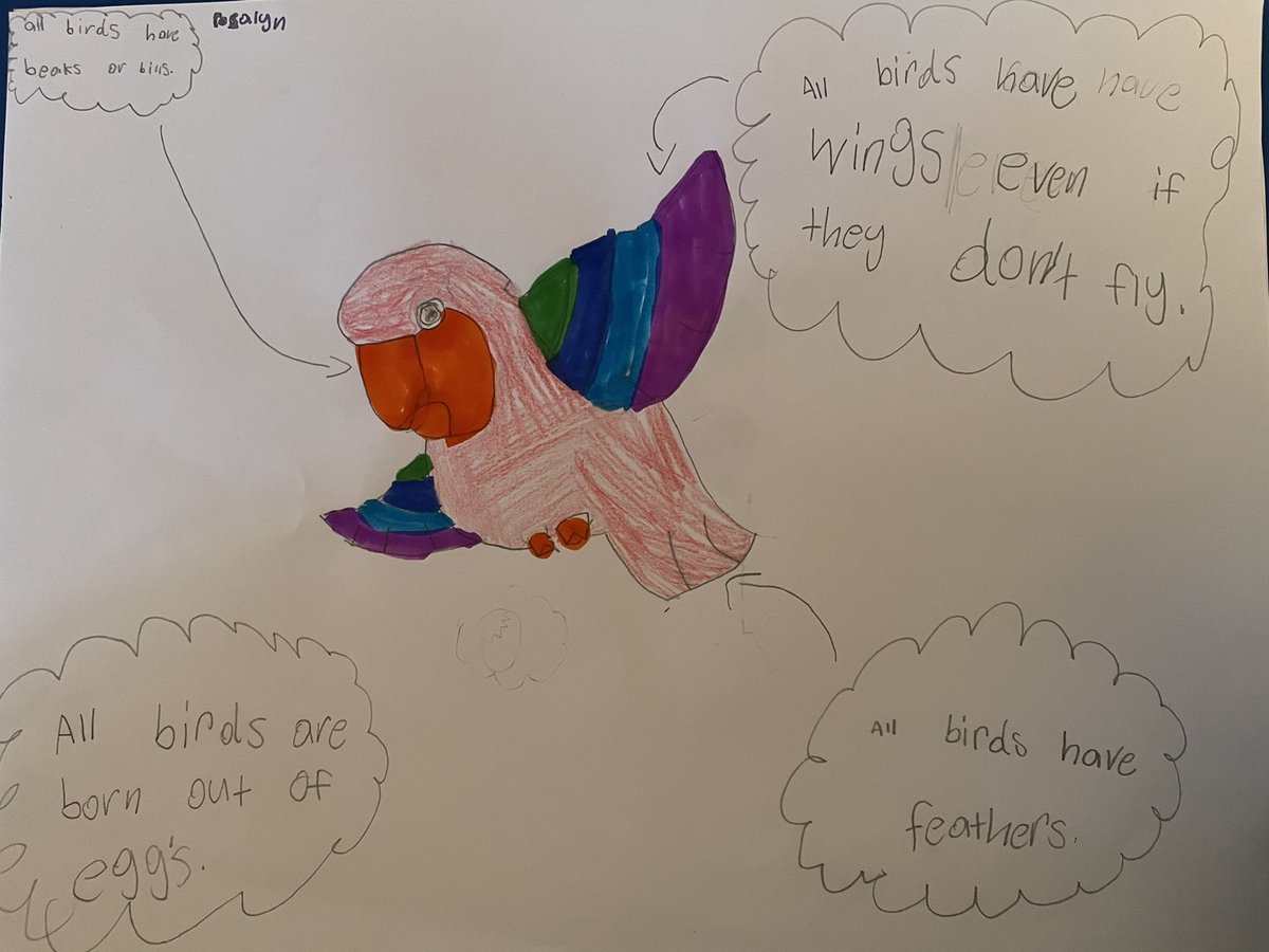 Mrs_BGunter's tweet photo. Birds, birds, birds in room 7 this week! Kiddos are loving learning all about what makes a bird. We can’t wait for bird watching and bird feeders on Friday! #lexcs #cees #learngrowlead #secondgrade https://t.co/lDkkf7vEq4