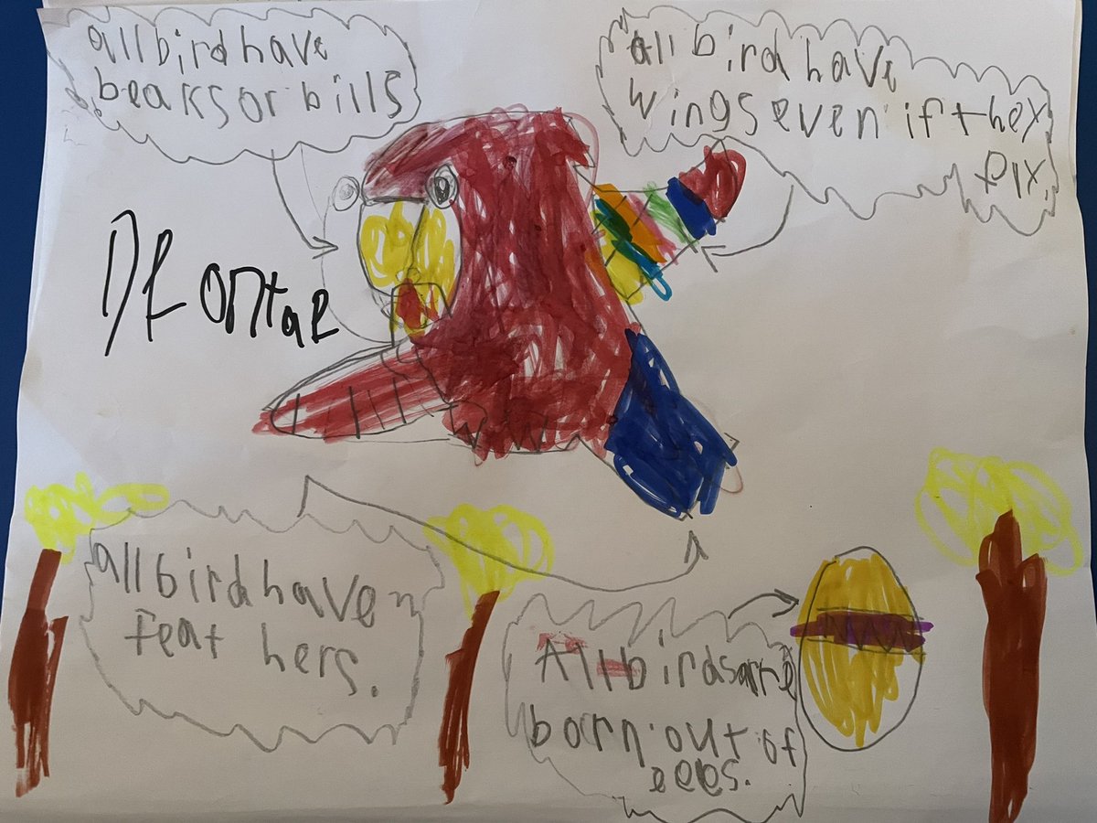 Mrs_BGunter's tweet photo. Birds, birds, birds in room 7 this week! Kiddos are loving learning all about what makes a bird. We can’t wait for bird watching and bird feeders on Friday! #lexcs #cees #learngrowlead #secondgrade https://t.co/lDkkf7vEq4