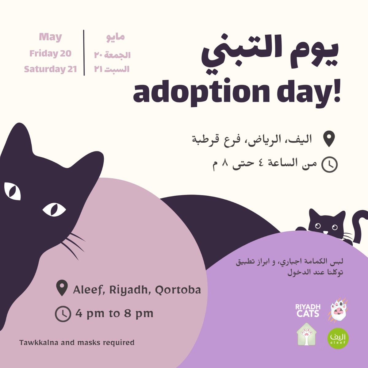 RiyadhCats tweet media