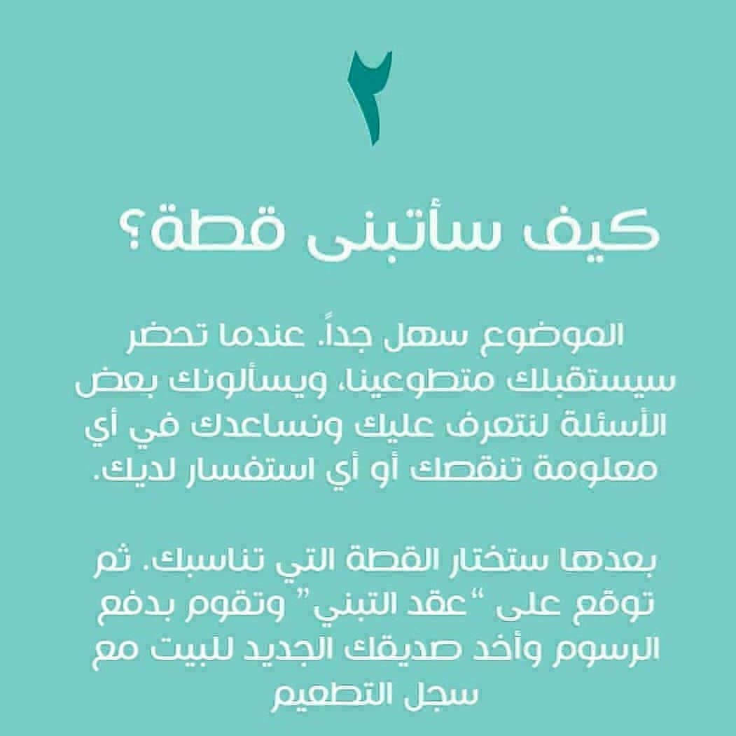 RiyadhCats tweet media