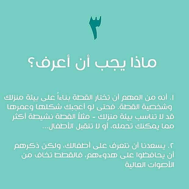 RiyadhCats tweet media