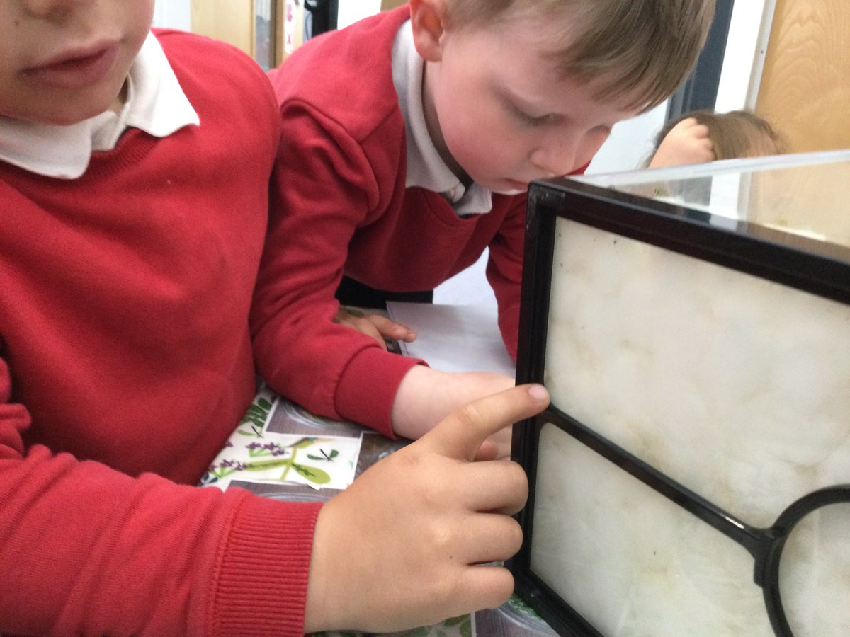 Miss Sweet tweet media