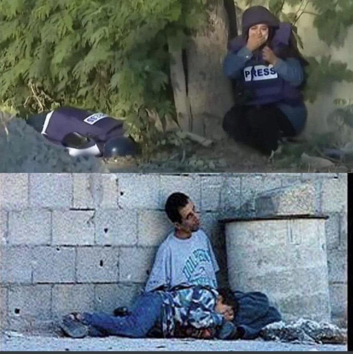 madeleintlSUR's tweet photo. 1. Ayer fue un día muy doloroso por el asesinato de la periodista palestina Shireen Abu Akleh, 24 horas después las imágenes y símbolos se pueden entender mejor. Me dediqué a recopilar cada una para analizarlas. Su voz era la voz del pueblo sufrido palestino. https://t.co/6IGJDPlCPf