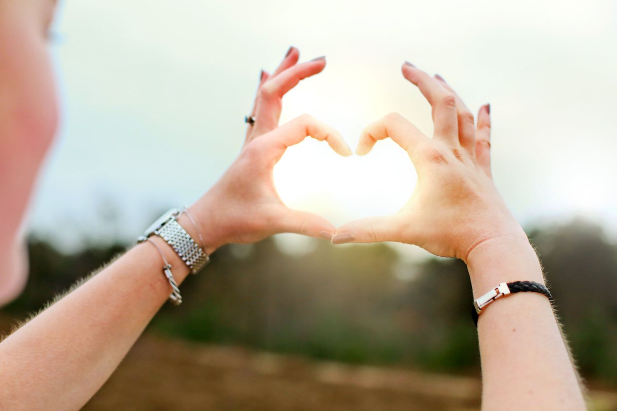 Bernhoven tweet media