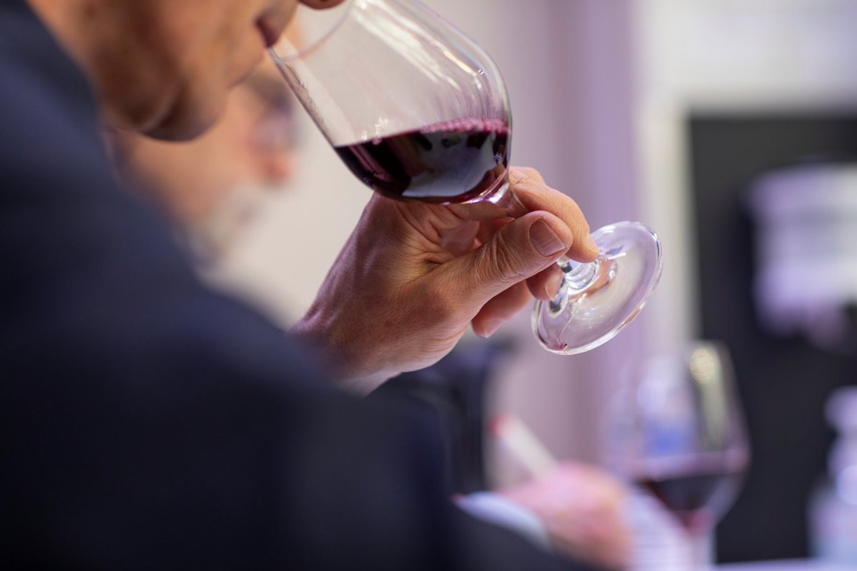 concours_bio's tweet photo. Les résultats sont en ligne ! Découvrez le palmarès ➡️ https://t.co/AVGkjV7DFR

#concoursvinbio #concoursamphore #organicwine #biowine https://t.co/0C3iflEyfp