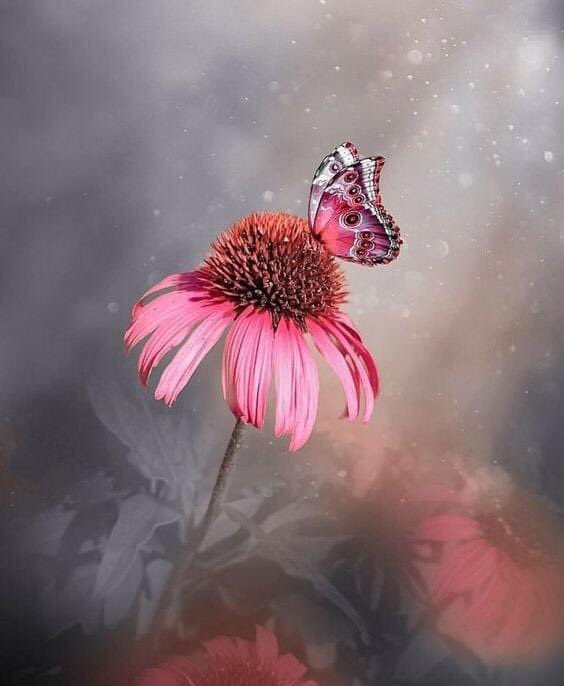 " إيّاك أن تعاتب من هُنت عليه ، 
فلا عتاب لمن استباح أذيّتك  "