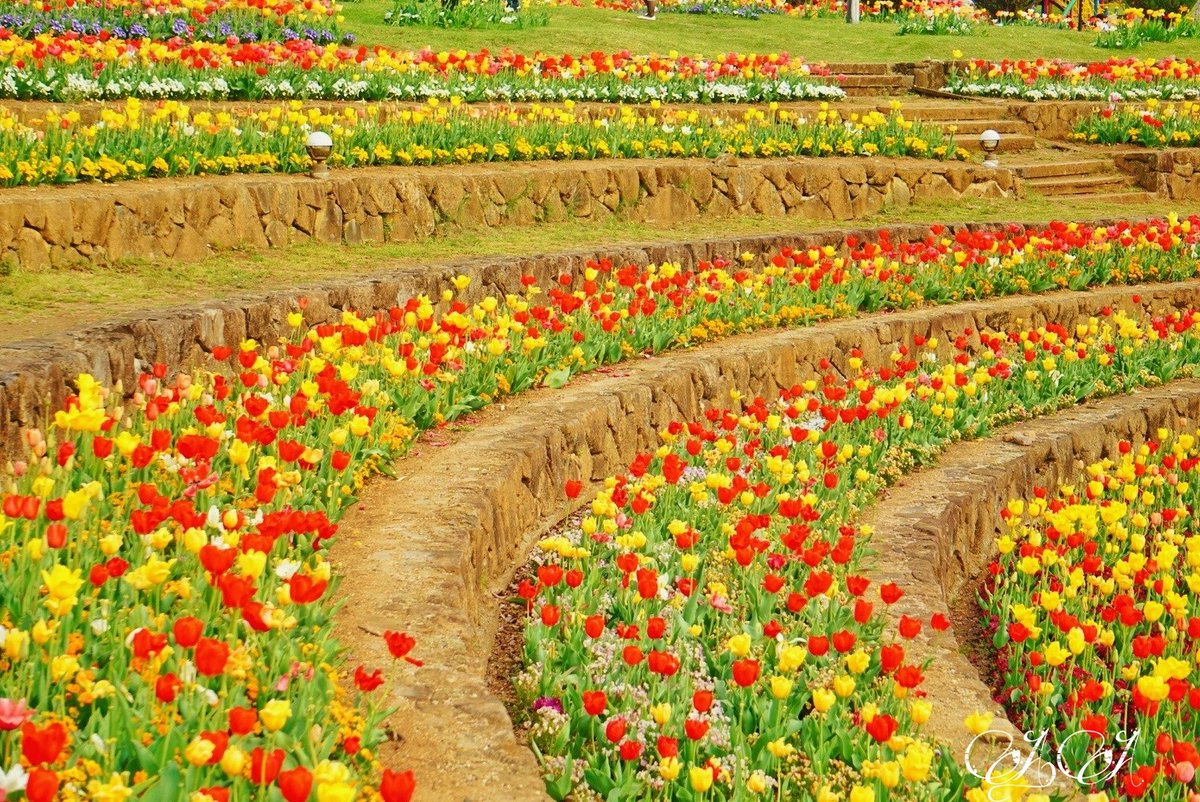 AA2ndRT's tweet image. ずっと見ていたい景色◌˳⚛˚⌖