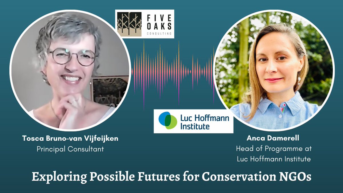 Tosca5Oaks's tweet photo. Exploring Possible Futures for #conservation #NGOs: @LucHoffmannInst 's Anca Damerell and I discuss new report by a whole team of us: How do #conservation NGOs' roles + mandates need to change to increase impact, relevance, and legitimacy? My latest podcast #NGOSoulAndStrategy https://t.co/XOhEUpcRqy