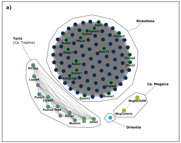 Happy to say our Nat Comms paper has been published!

Genomic diversity across the Rickettsia and ‘Candidatus Megaira’ genera and proposal of genus status for the Torix group

rdcu.be/cNo54