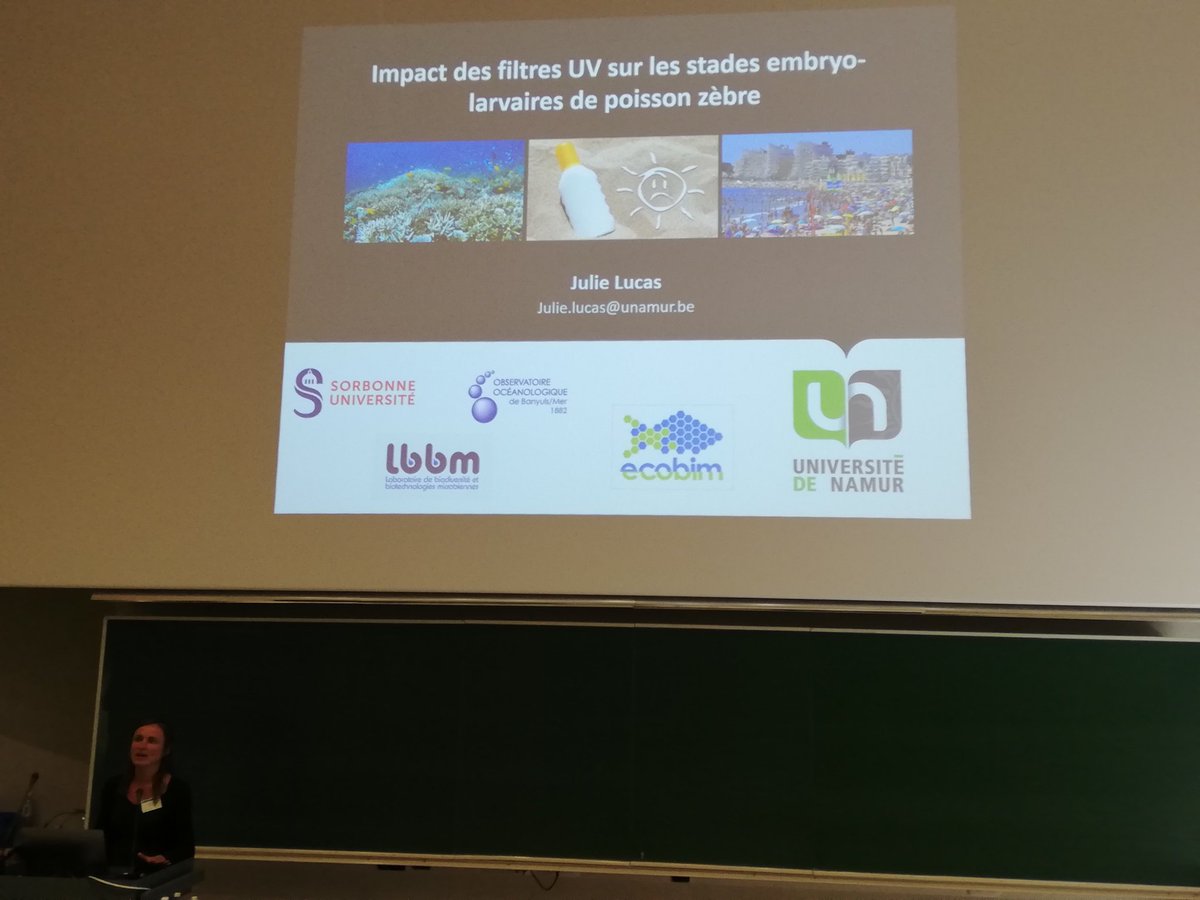 EcoBIM 2022 tweet media