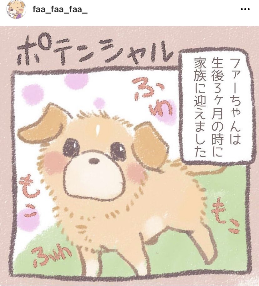 faa_zoo's tweet photo. 2012年の11月に家族になった大型ミックスのファーちゃんです。
2022年の8月に10歳になります！ｵﾒﾃﾞﾀｲ!

Instagramでは、ファーちゃんや家族のイラストや漫画を上げてます

https://t.co/ezdmPMrQqz https://t.co/DhhlhZWBKZ