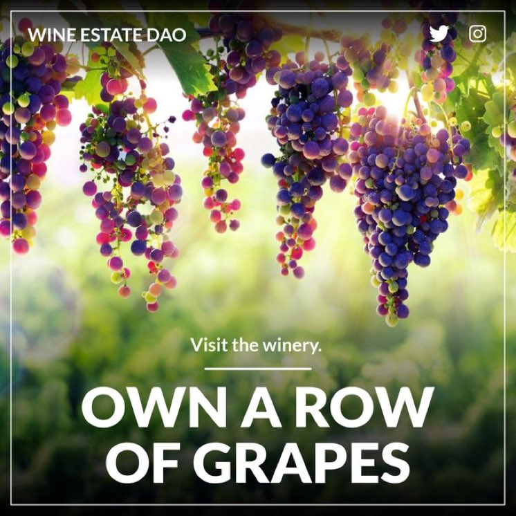 TiarCrypto's tweet photo. $75 in 12 HOURS

- RT &amp; Follow @WineEstateDAO
- Join Discord (proof)
https://t.co/HZKCajXcnv https://t.co/aPTOLJ4bEa