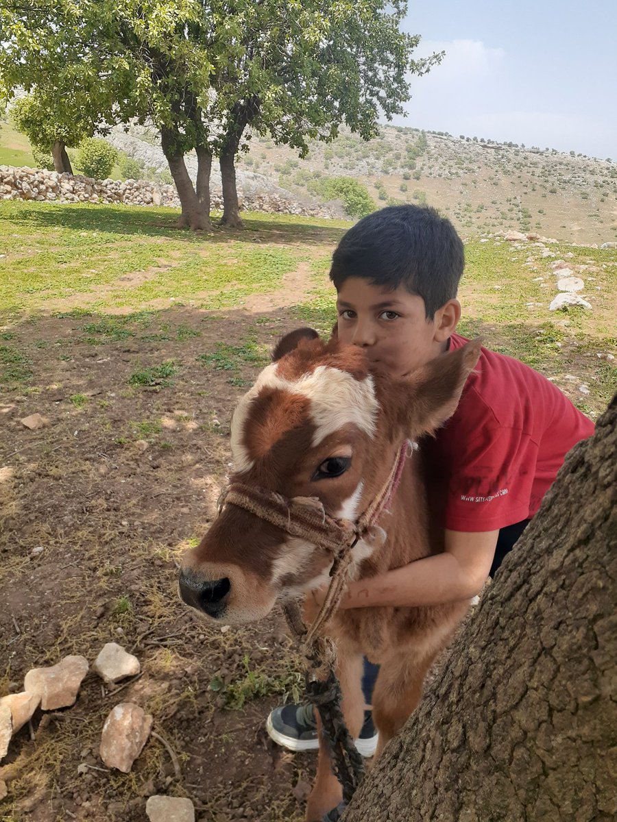 BCayustu's tweet photo. Doğa ve hayvanlarla iç içe eğitim 🌿🐐 @diclemem21 @Diyarbakirmem https://t.co/PShHhDizUS