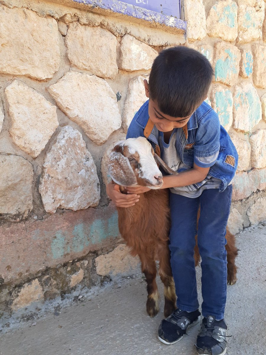 BCayustu's tweet photo. Doğa ve hayvanlarla iç içe eğitim 🌿🐐 @diclemem21 @Diyarbakirmem https://t.co/PShHhDizUS