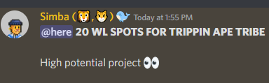 TheLionCats's tweet photo. Yes 20 WL spots for our ≈500 holders 😼🦁 

GL Lion Cats ♥️ https://t.co/XoUTRaripD