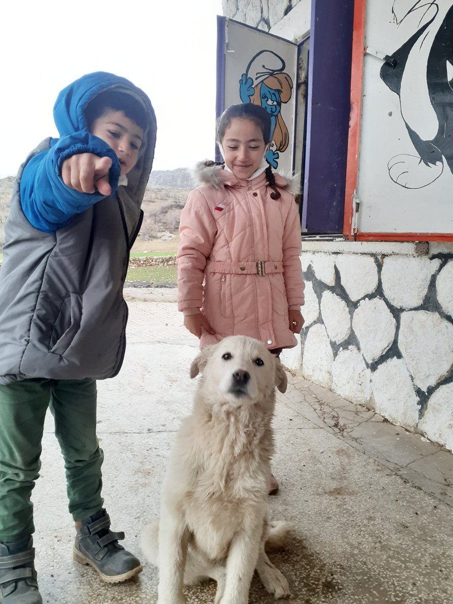 Doğa ve hayvanlarla iç içe eğitim 🌿🐐 <a href="/diclemem21/">Dicle İlçe Milli Eğitim Müdürlüğü</a> <a href="/Diyarbakirmem/">Diyarbakır İl Millî Eğitim Müdürlüğü</a>