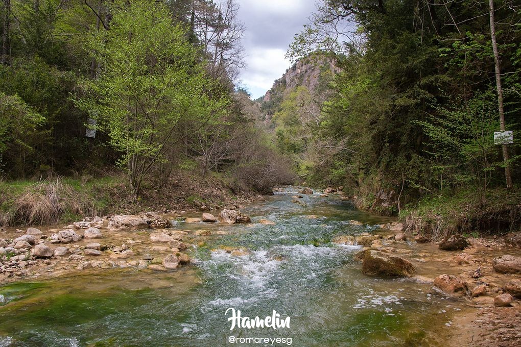 HamelinOfficial's tweet photo. Esta es la 📸 fotografía de paisaje destacada del día de ayer realizada por “Romareyesg” en Hamelin realizada en Gósol (Lérida)✨
#catalunya_fotos #catalunya_natura #catalunya_rural #rural_catalunya #Gosol #landscape #landscapephotography #landscapes #paisajes #hamelin https://t.co/OeMoZlaMCL
