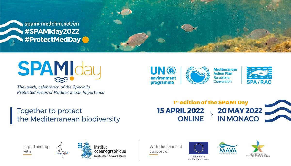 We are one week away from our special event in Monaco to celebrate the SPAMI Day #SPAMIday2022 #ProtectMedDay #BarcelonaConvention.
We are delighted that @Pelagos_  the 
@OceanoMonaco are supporting this event, organised under the auspices of HSH Prince Albert II.