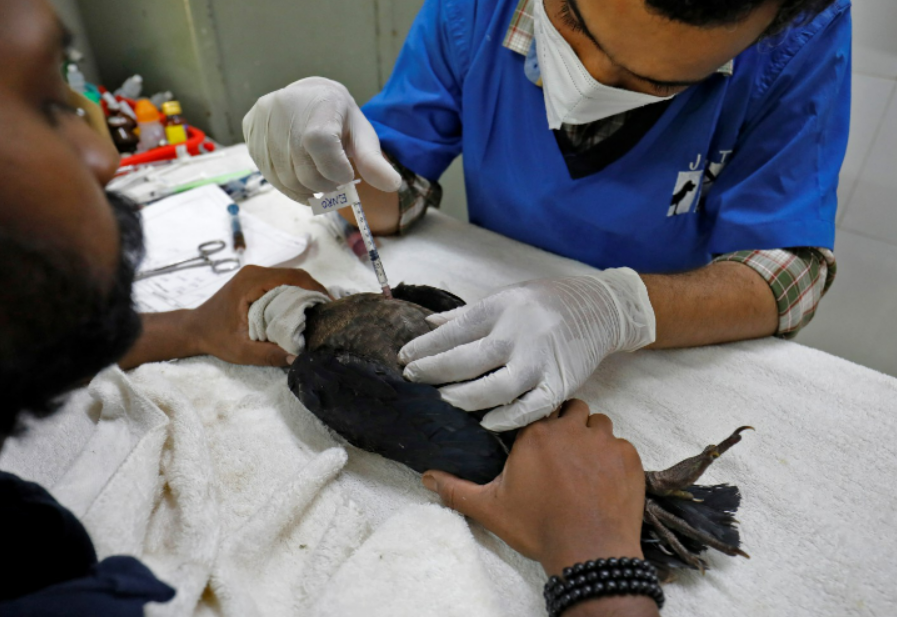 Independent's tweet photo. It’s so hot in India that birds are falling out of the sky https://t.co/rhLX48au0z #IndiaHeatwave https://t.co/T8bCTTRMTu