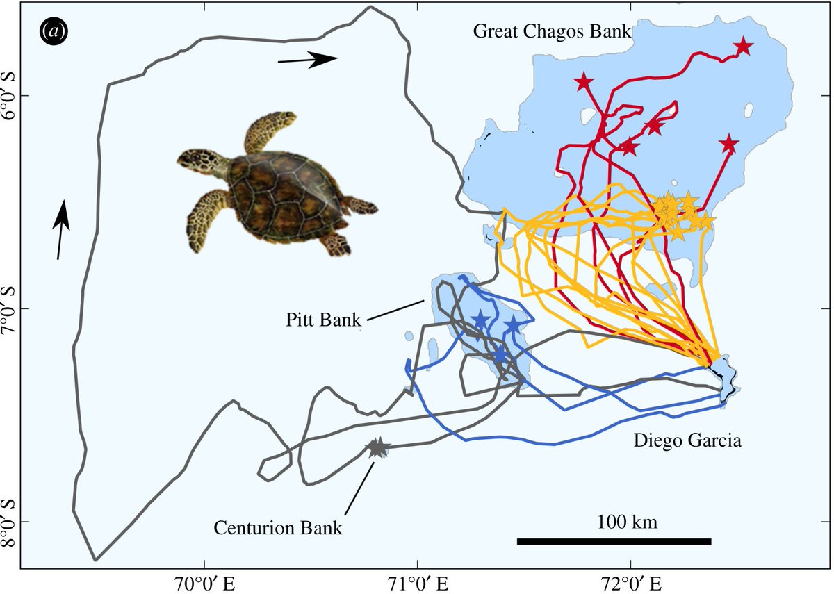 Nicole Esteban tweet media