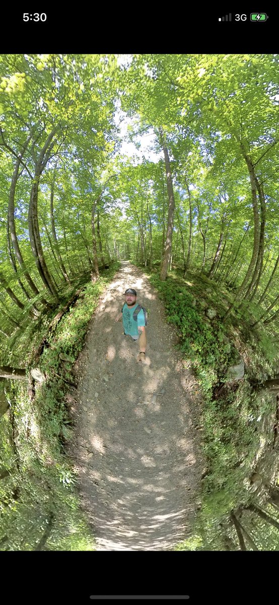 dirtydeeds0576's tweet photo. Just a stroll in the woods https://t.co/60alyNL6ZS