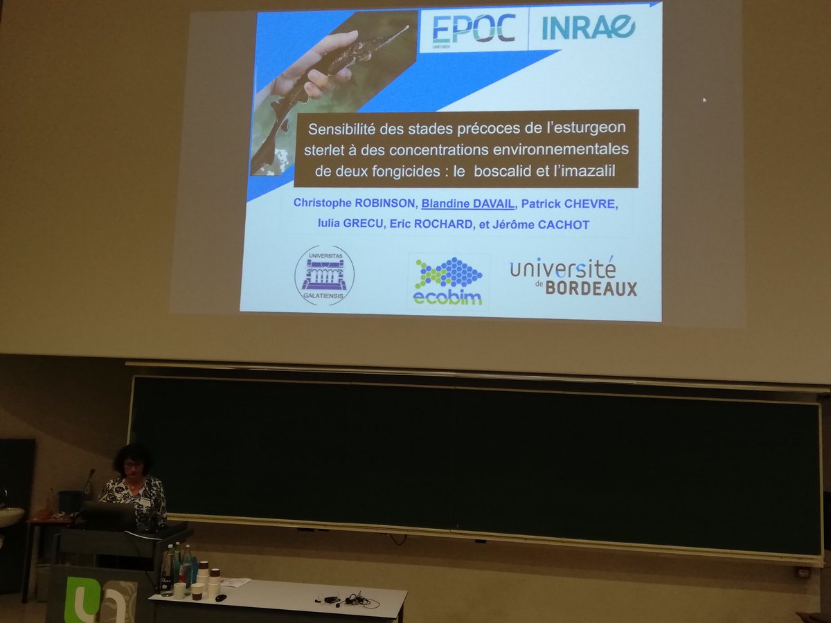 EcoBIM 2022 tweet media