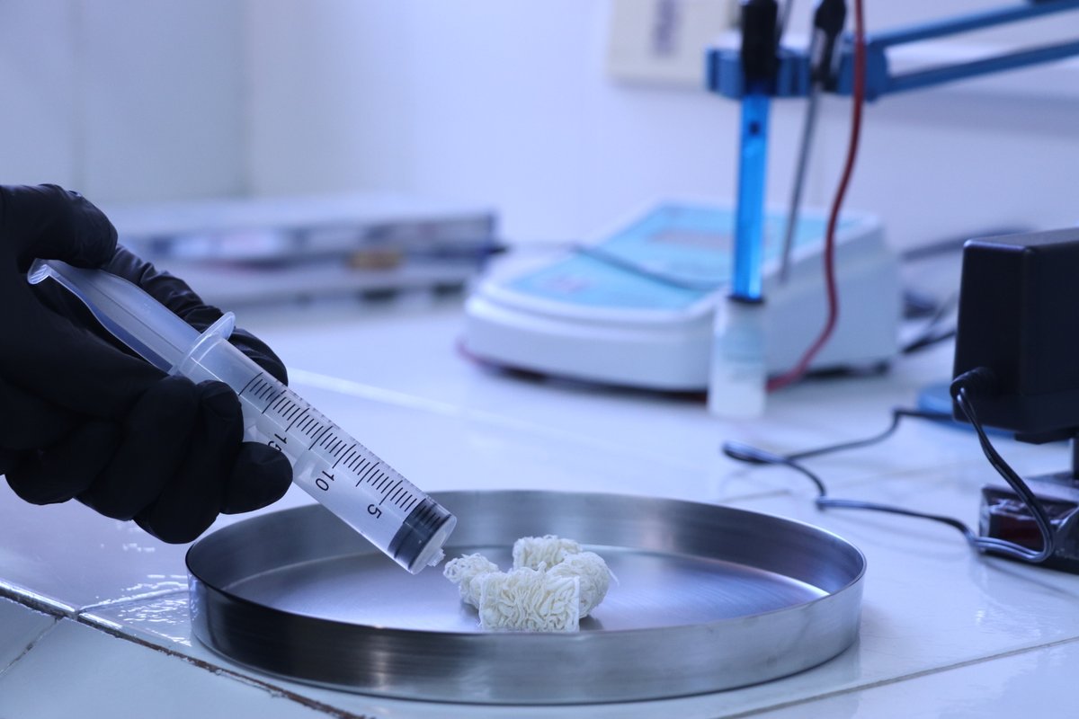 conacytparaguay's tweet photo. Con apoyo del CONACYT, la Dra. Magdalena Espínola, investigadora de la @fpuna desarrolló un material que captura metales pesados tóxicos en aguas residuales. 👩🏻‍🔬🔬

🔗 Más info: https://t.co/8DjcqbOUB3

#CONACYT25AÑOS #PROCIENCIA #FEEI https://t.co/RUwpiVeTdB