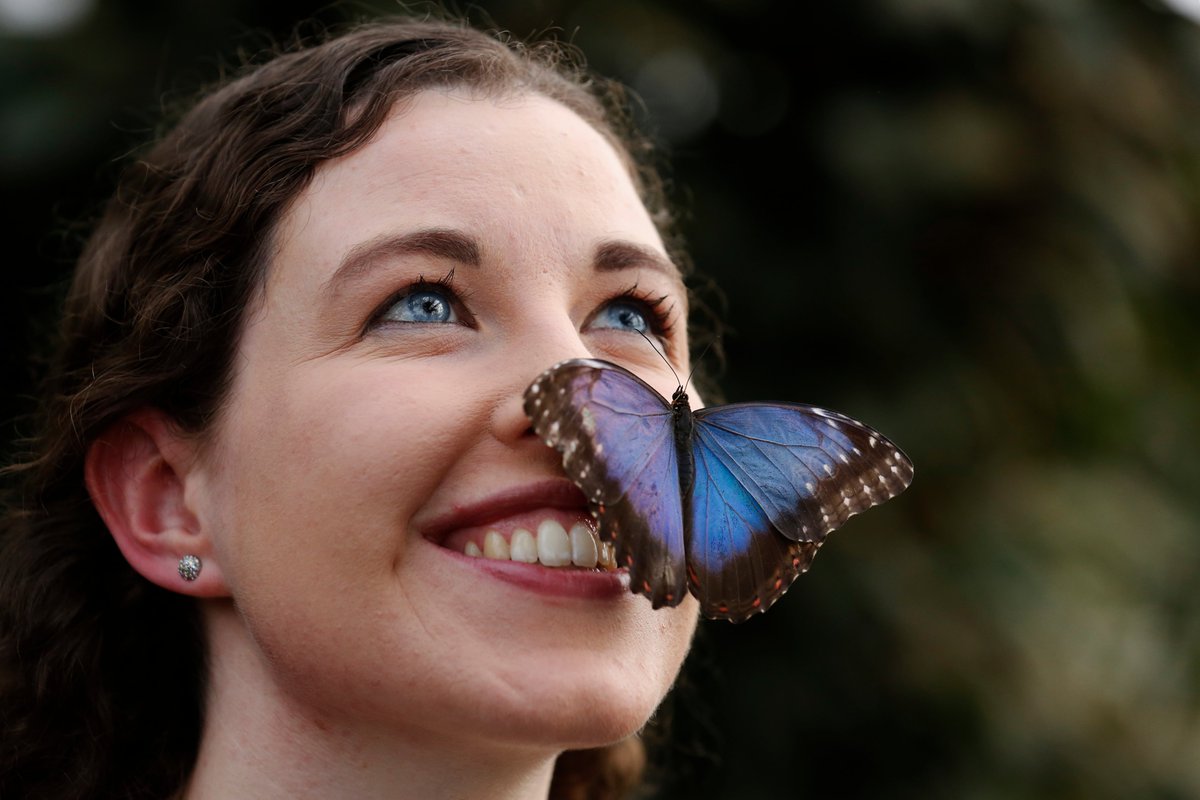 The_RHS's tweet photo. We're marking #PlantHealthWeek by celebrating the work of our science teams! 🔬 🌿 

Anna leads the RHS #biosecurity programme for RHS shows, working to ensure that the shows are as safe as possible for our plants and the wider environment 🌷 🌳 

https://t.co/B1q7ULIsA4 https://t.co/LR1zB93mcl