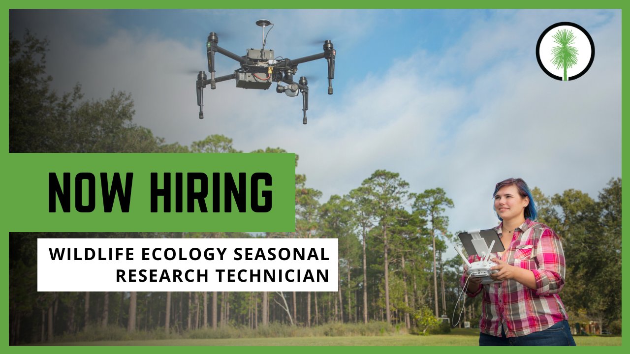 The Jones Center at Ichauway on Twitter "Join our Wildlife Ecology