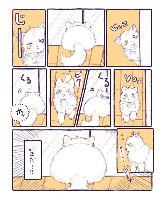 『始めから気づいてるっつーの!』

⚠︎センパイコウハイ五悠猫化🐱 