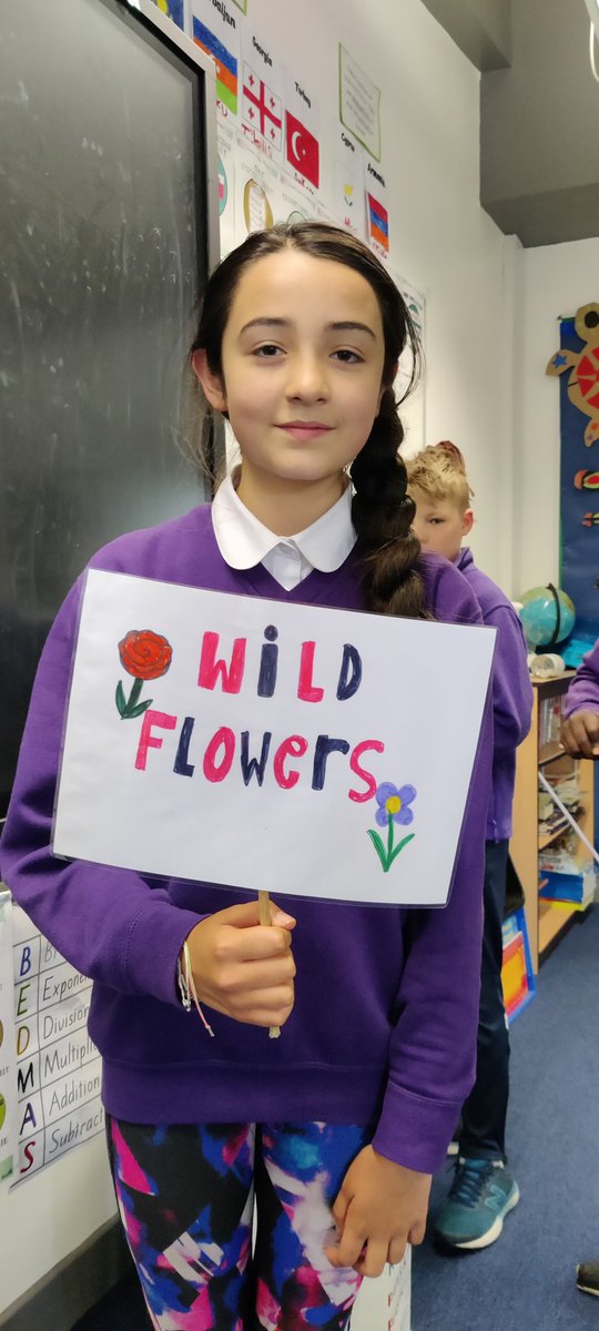 St_JosephsP6's tweet photo. Look at the great sign designed by one of the P6 Garden Gang. This will really help organise and protect the Environmental Garden. 💐🌼🌸🌲🌳 @stjosephsedin https://t.co/qF25mIELB1