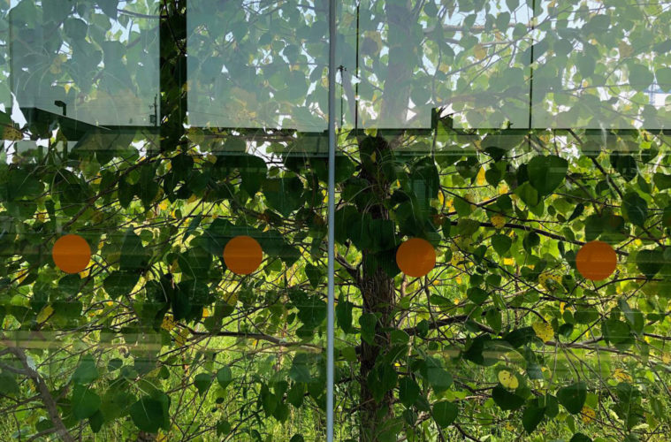 The CONTACT Photography Festival returns. 

Full details on Lifescapes: Through the Lens: sidewalkhustle.com/contact-photog…